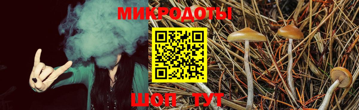 Галлюциногенные грибы MAGIC MUSHROOMS  Вход с VPN  Братск 